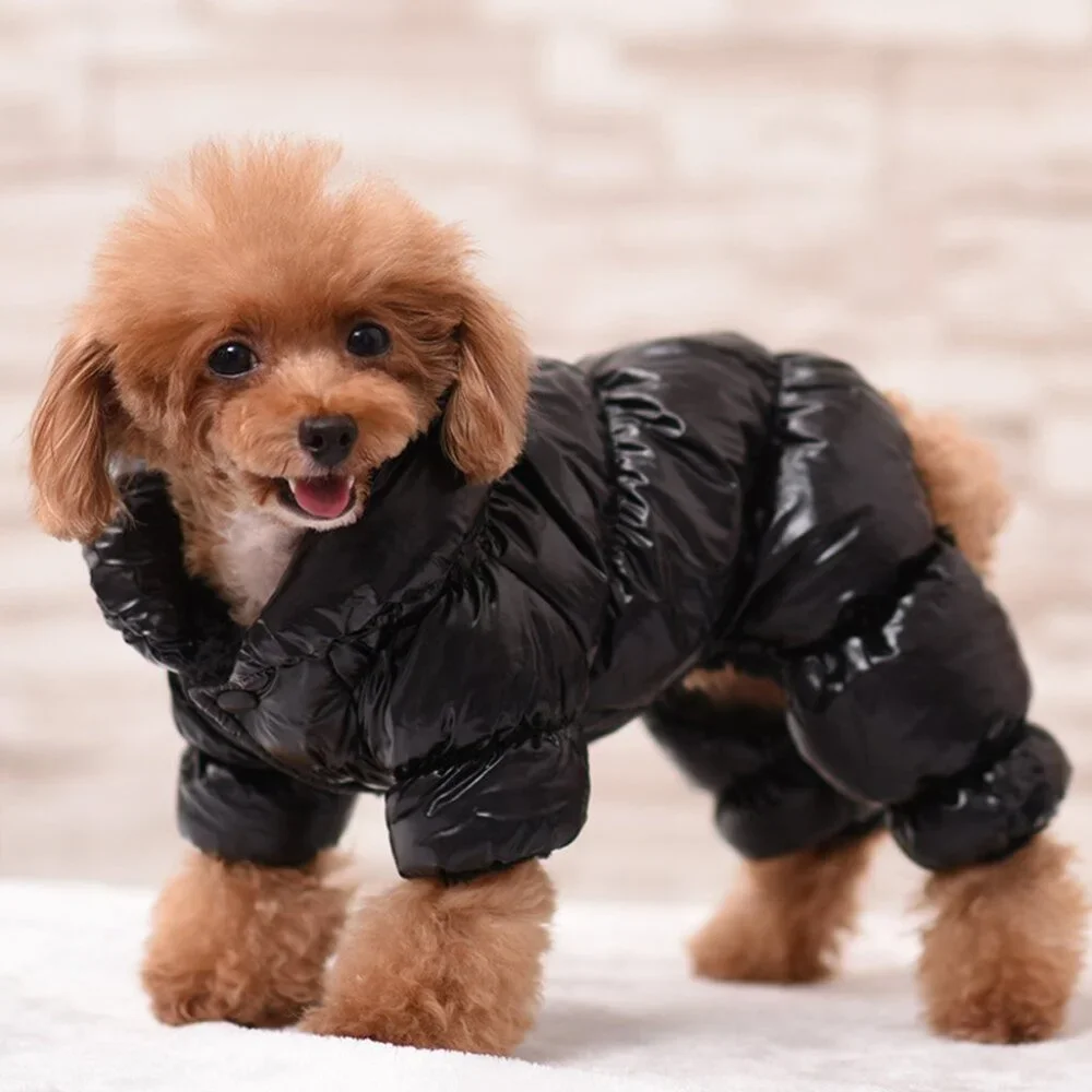 N/A puppy thick